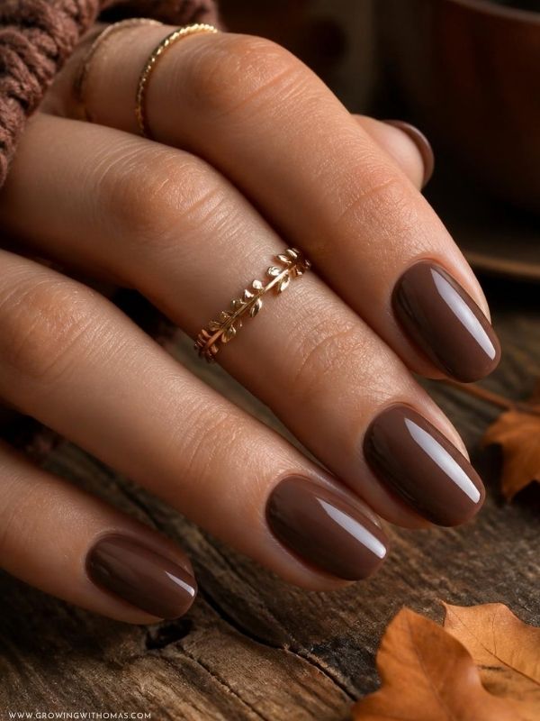 Matte-brown-fall-nails