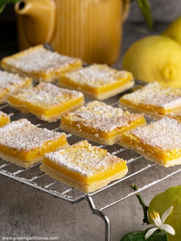 Lemon-bars-for-a-bright-and-tangy-New-Years-Eve-dessert.